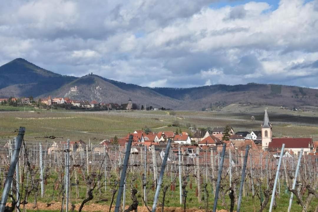 Gites Marschall Jean-Pierre Beblenheim Eksteriør billede